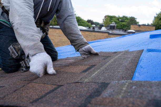Best Roof Leak Repair  in South Dos Palos, CA